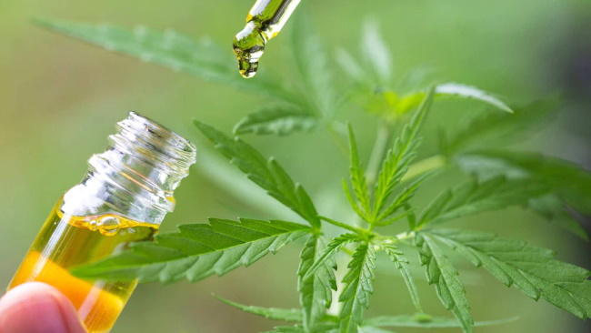 Australia to allow access to medicinal marijuana