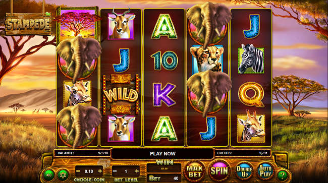 Choose a Stake Level to Play Pokies