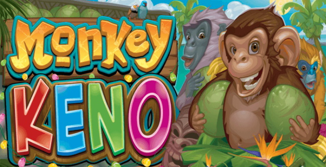 How do you play Monkey Keno