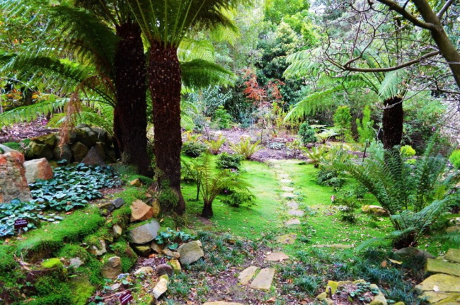 Royal Tasmania Botanical Gardens