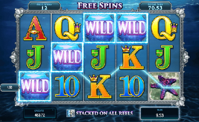 Spin The Starfish For Free Spins