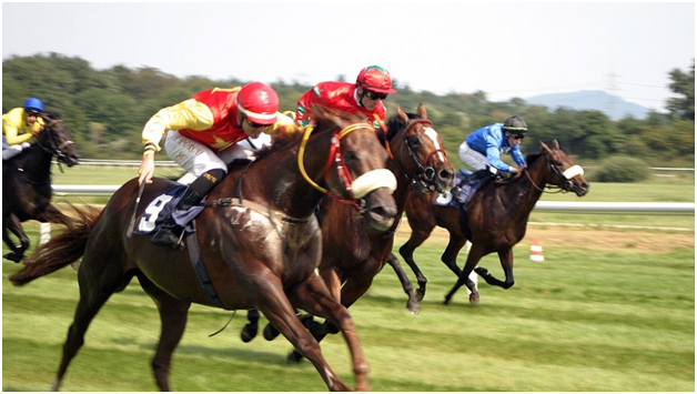 How to Play Virtual Horse Racing at Online Casinos?