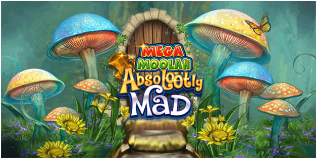 How to play the Absolootly Mad Mega Moolah jackpot pokies?